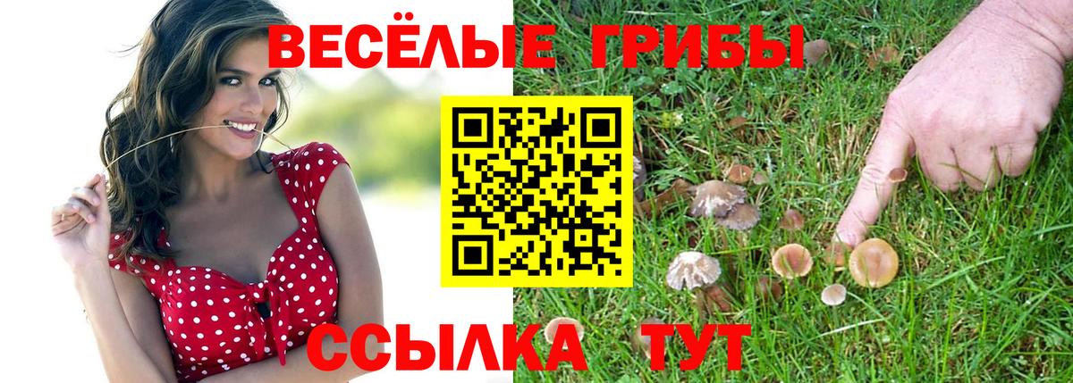 Псилоцибиновые грибы Psilocybe Рыбинск